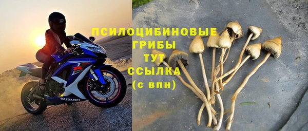 таблы Армянск